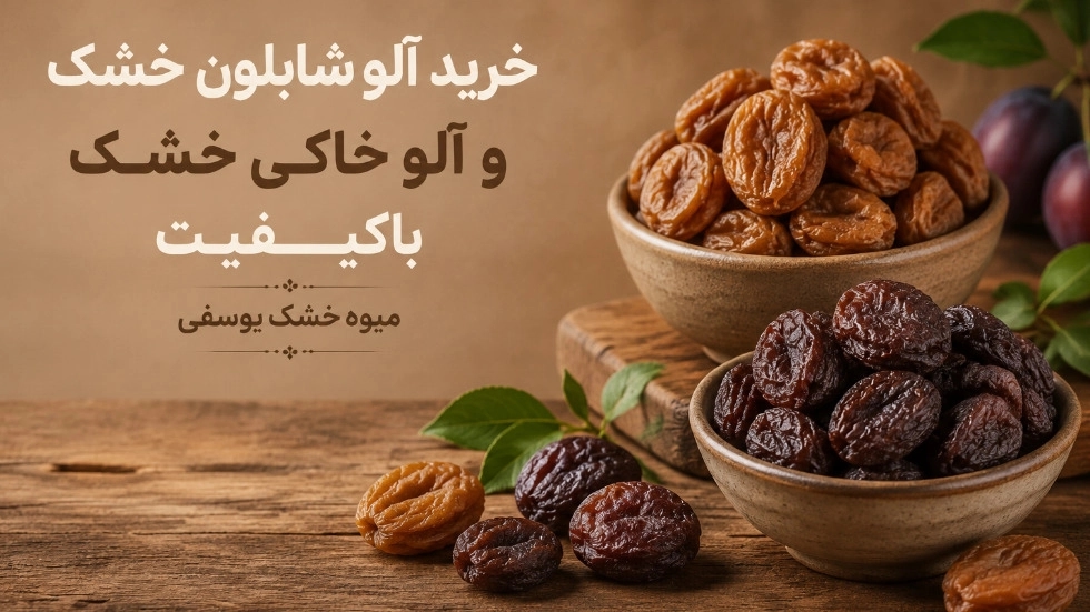 خرید آلو شابلون خشک و آلو خاکی خشک باکیفیت از میوه خشک یوسفی