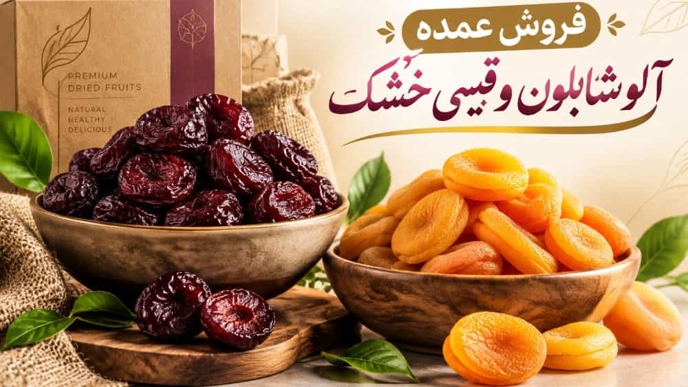 Wholesale sale of Shabloon plums and dried Qaisi directly from the manufacturer